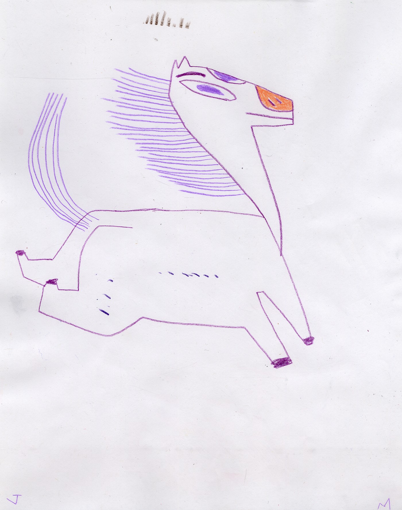 dream star ILLUSTRATION  일러스트 childrens book horse of Art illust Drawing 