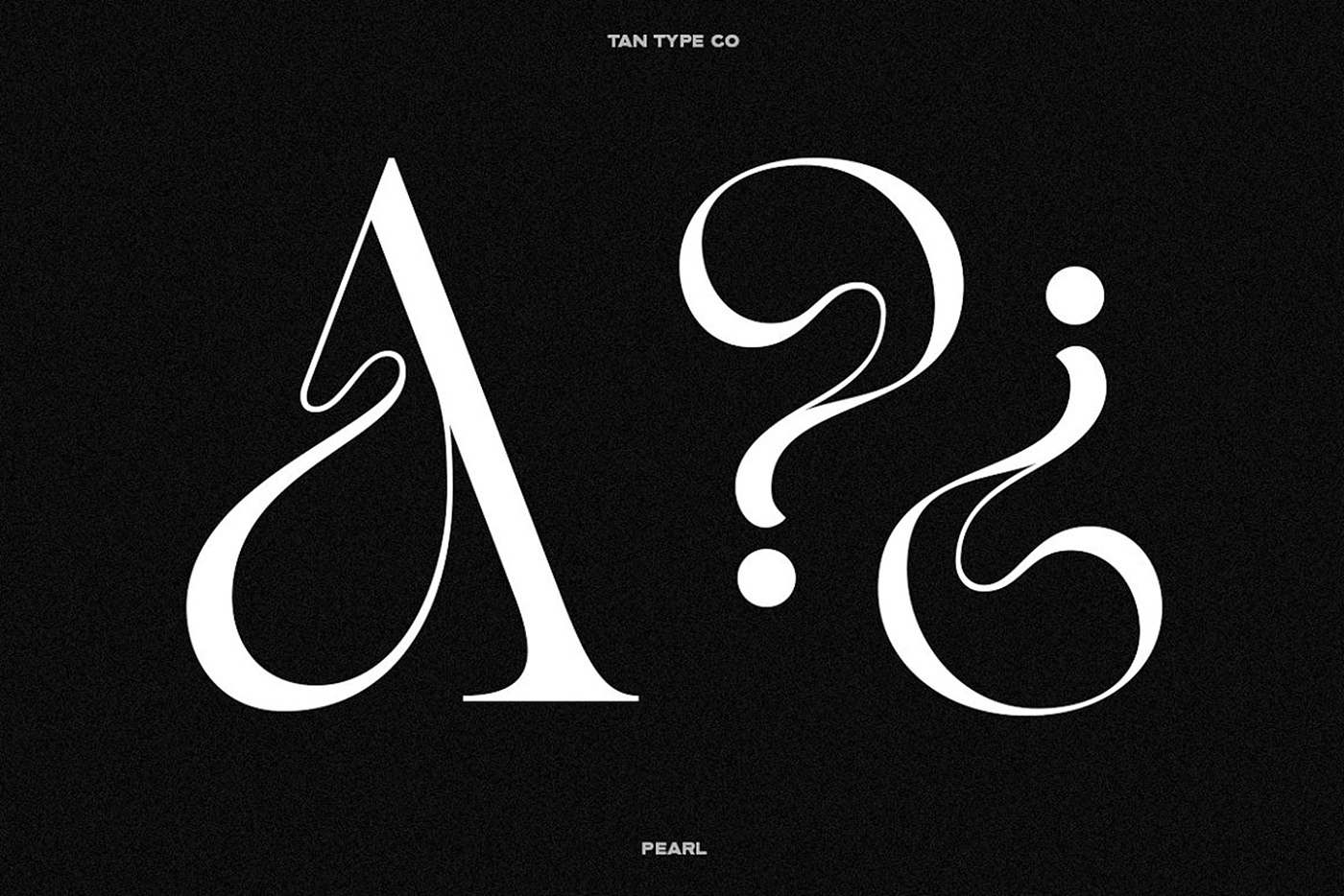 classy font elegant font Fashion font hipster font modern palyful font serif type design Typeface vintage font