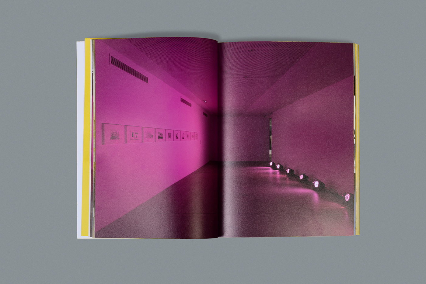 book book cover design editorial design  visual identity