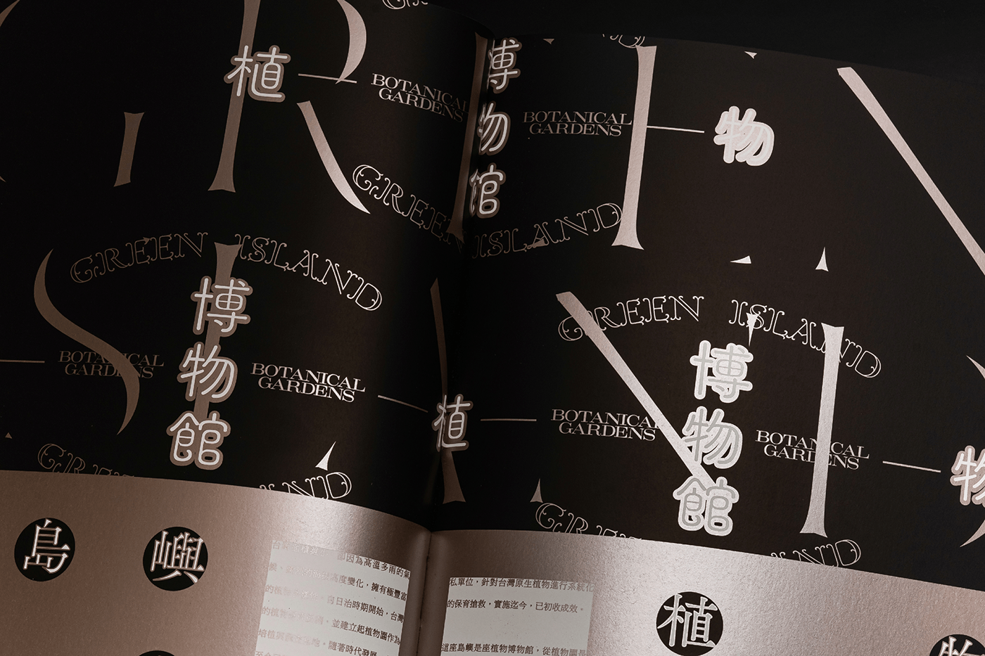 art direction  design designinspiration graphic design  graphics magazine Magazine design taiwan typographic typography  