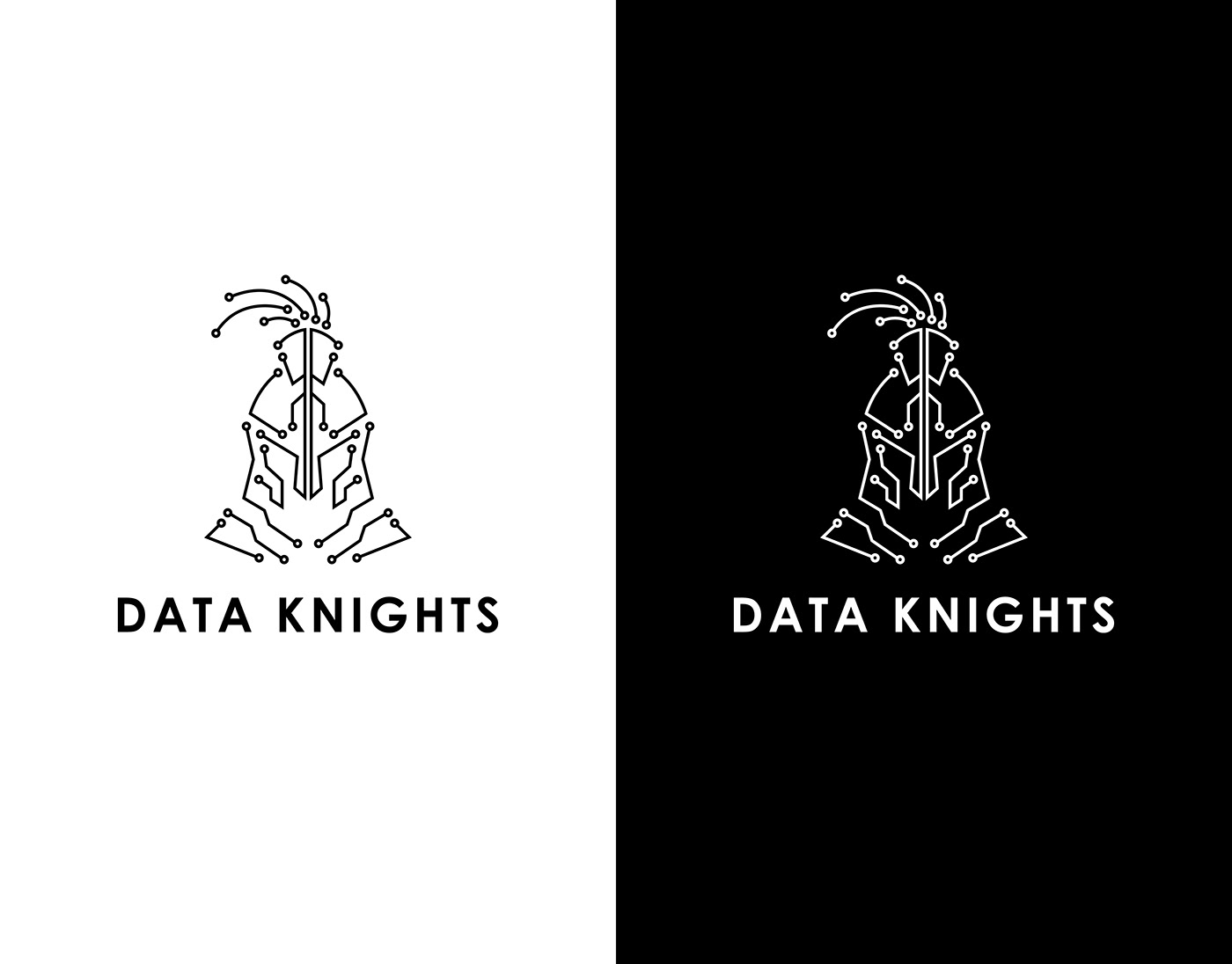 Tech logo data analysis Logo Design knights logo and branding Logo and brand identity Technology Logo design logo dataknights