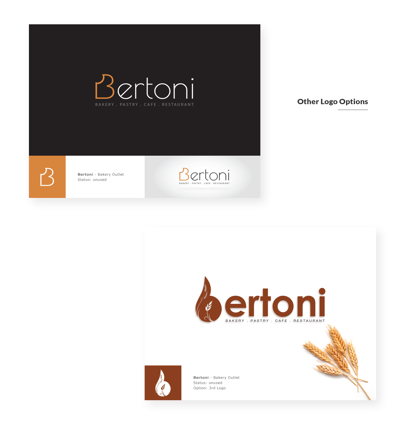 Logo Design branding  Branding Collateral package design  Website Design envelope letterhead business card logo designing Web Design 