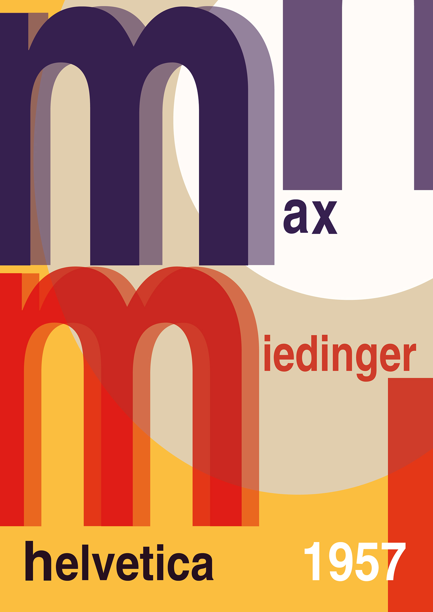 typography   graphicdesign ILLUSTRATION  Illustrator designgrafico poster