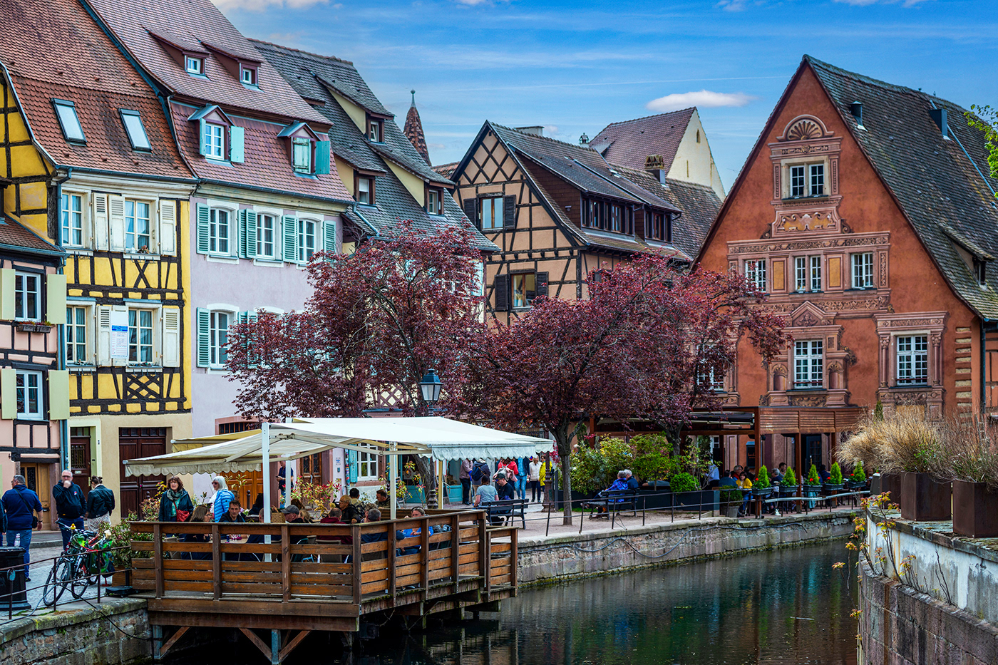 colmar alsace france architecture half-timbered house city touristic typical tourism Travel
