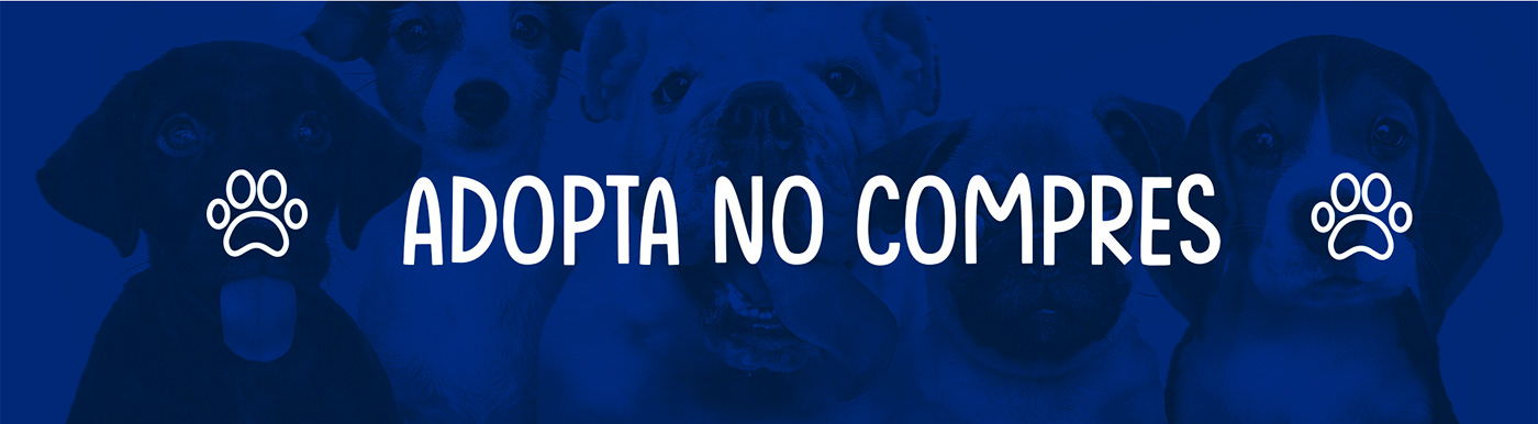 branding  dog gat logo Pet pet adoption branding