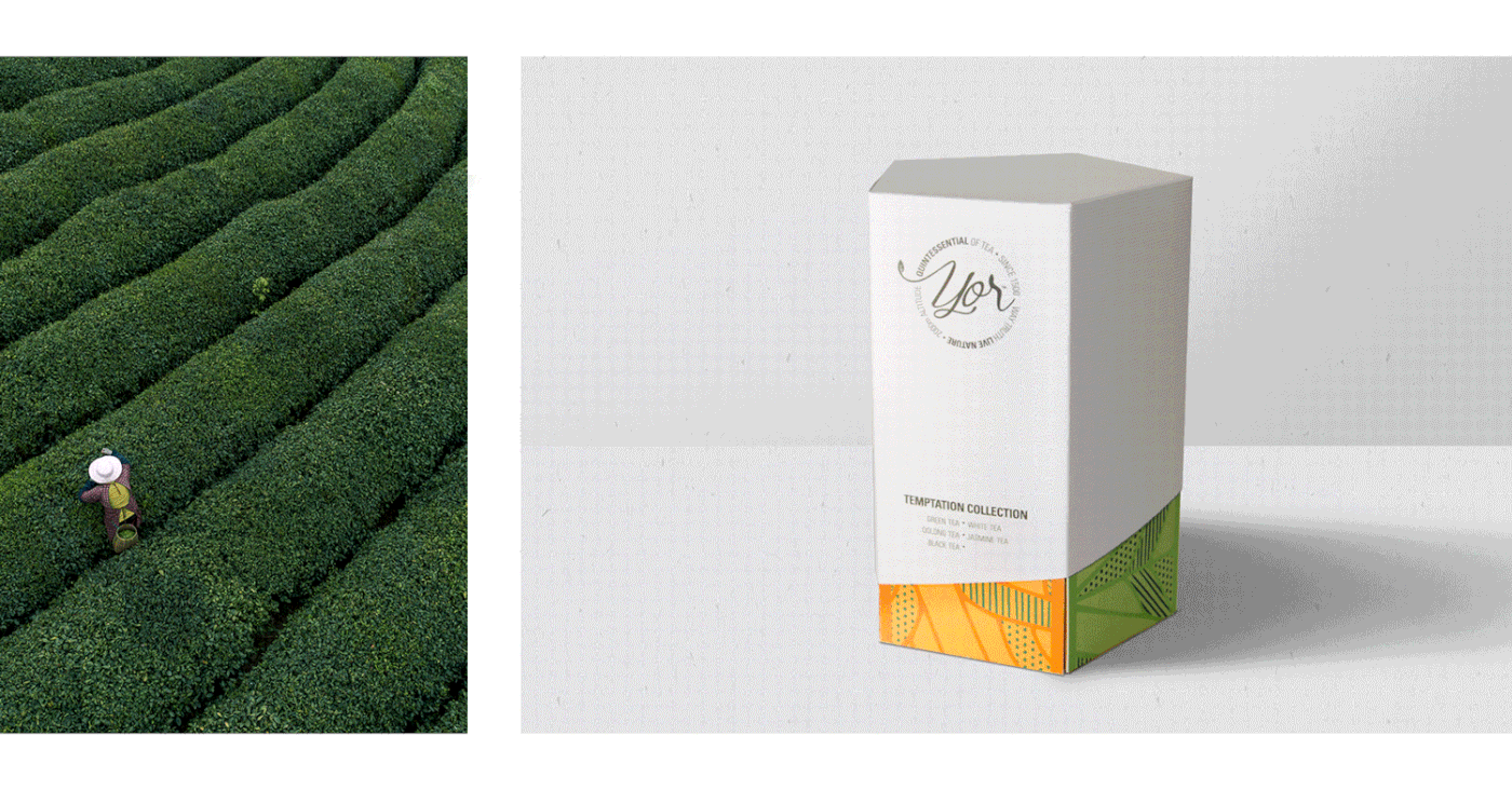 japan tea branding  Packaging logo pattern drink design fedrigoni award