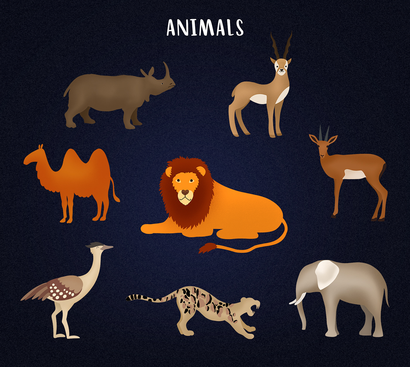 animals of india, illustration, children's illustration