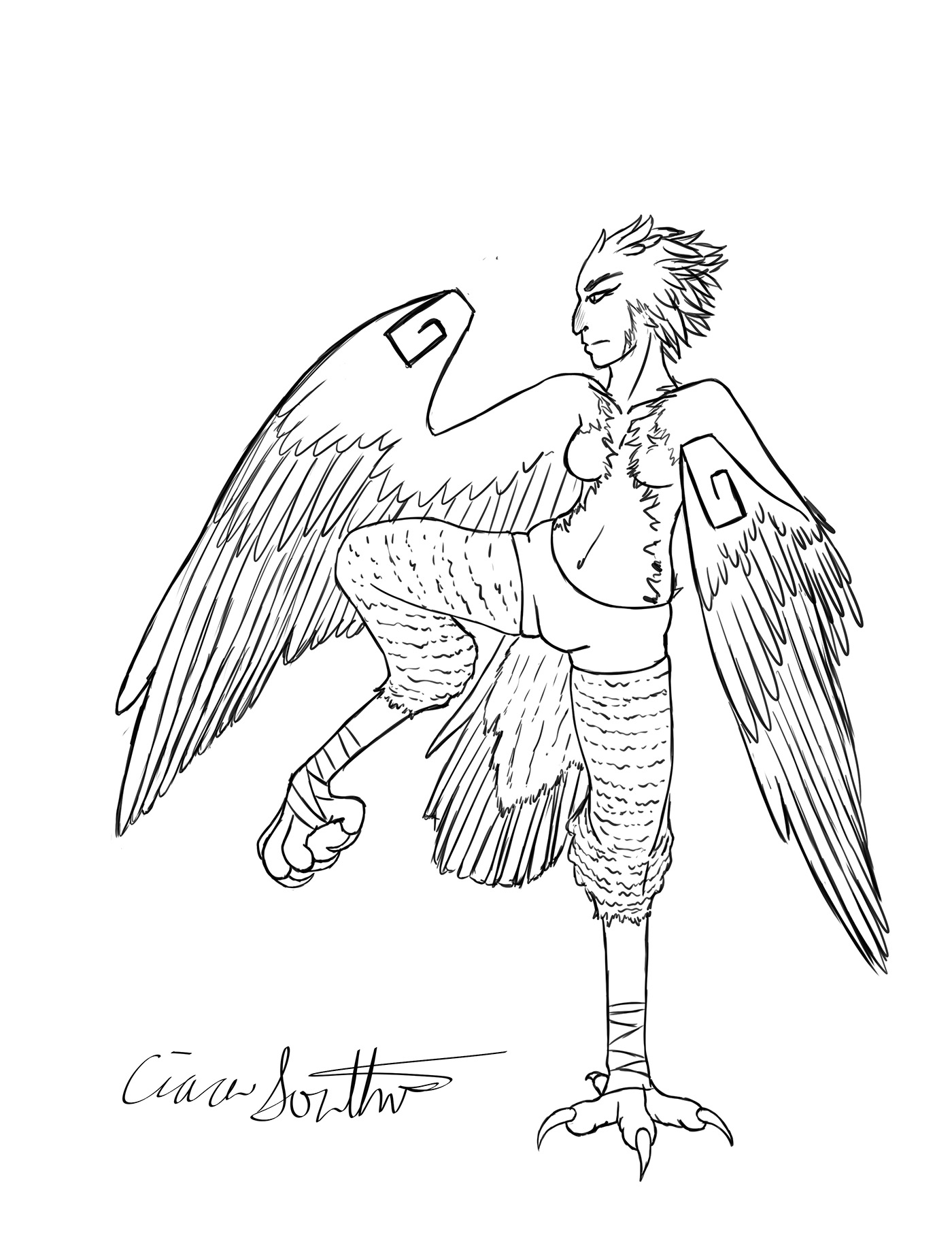 harpy kick boxing harpy eagle mythical concept art Character design 