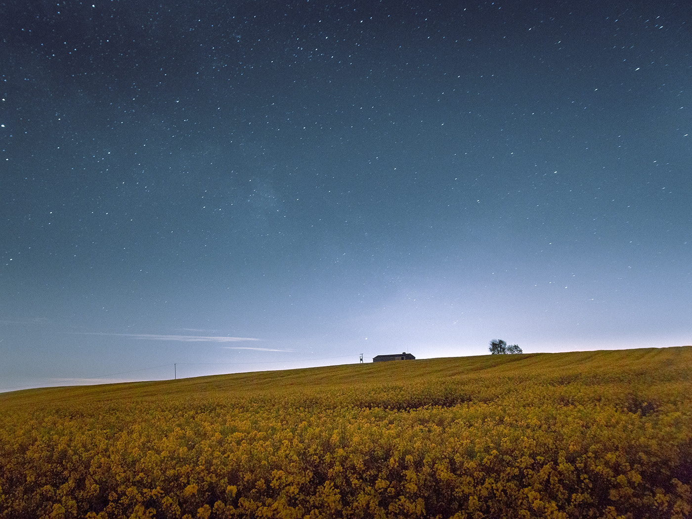 agriculture Canola field stars night SKY countryside Cambridgeshire england farming