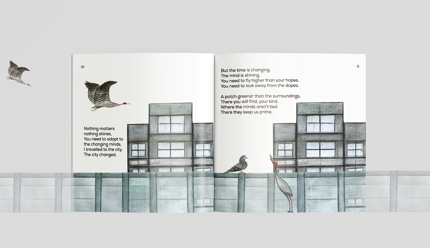 birds book Character design  ILLUSTRATION  poem story story boarding wildlife sarus crane social impact