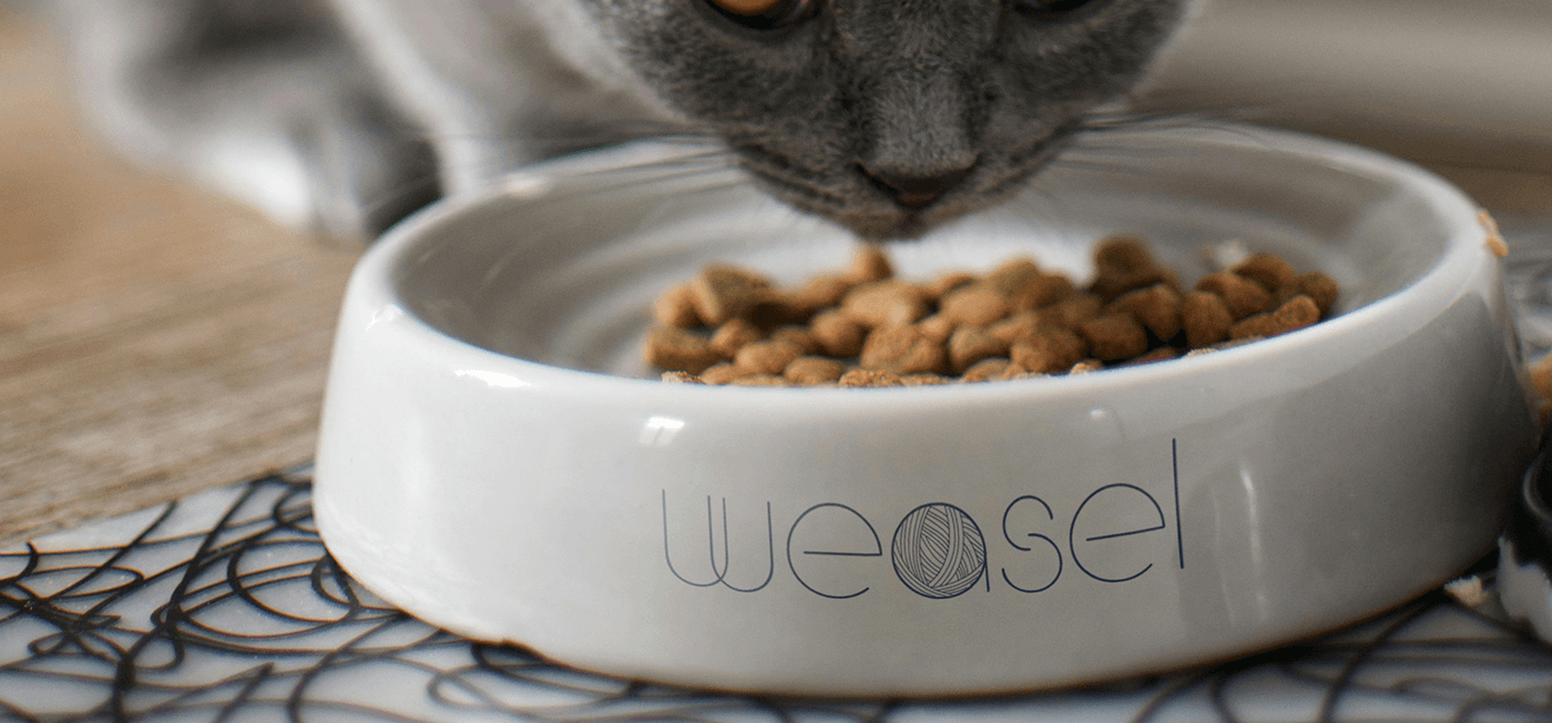 branding  Logo Design Cat pet food logo identity brand identity