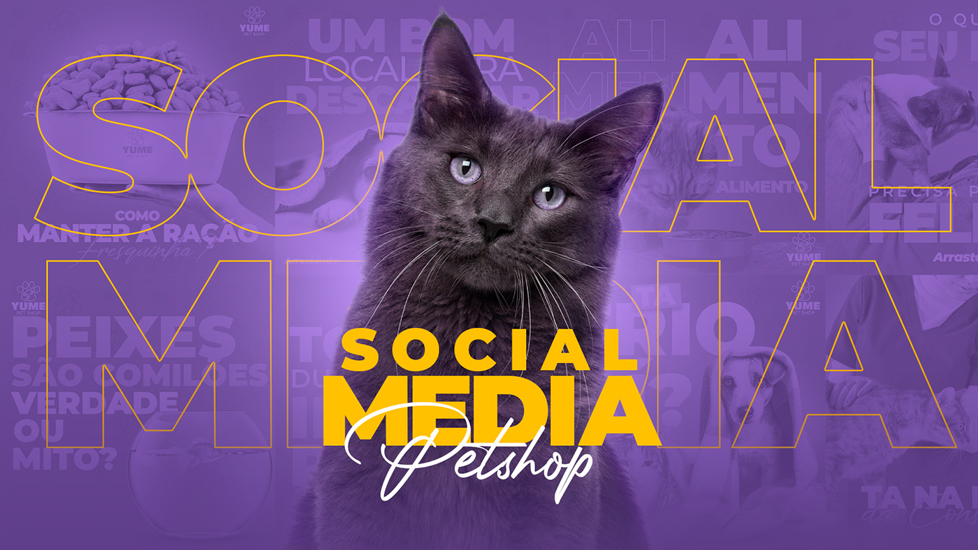 Cat dog facebook instagram media Pet petshop social media