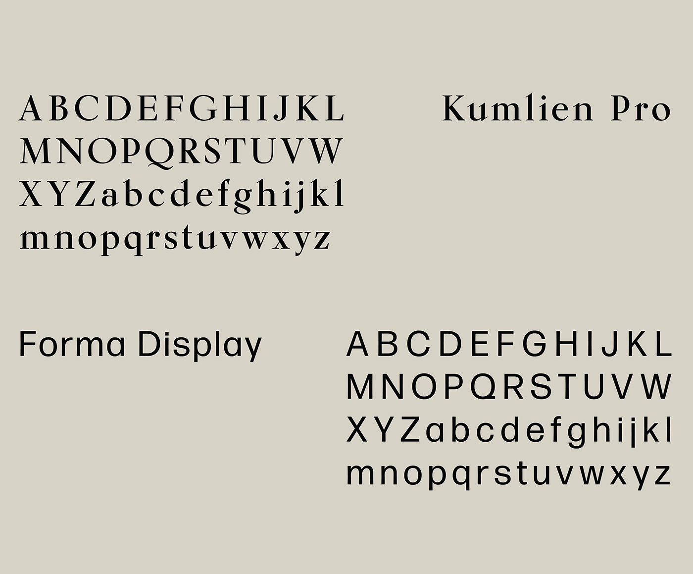 typography   Web Design  Adobe XD UI/UX graphic design  type risd Website