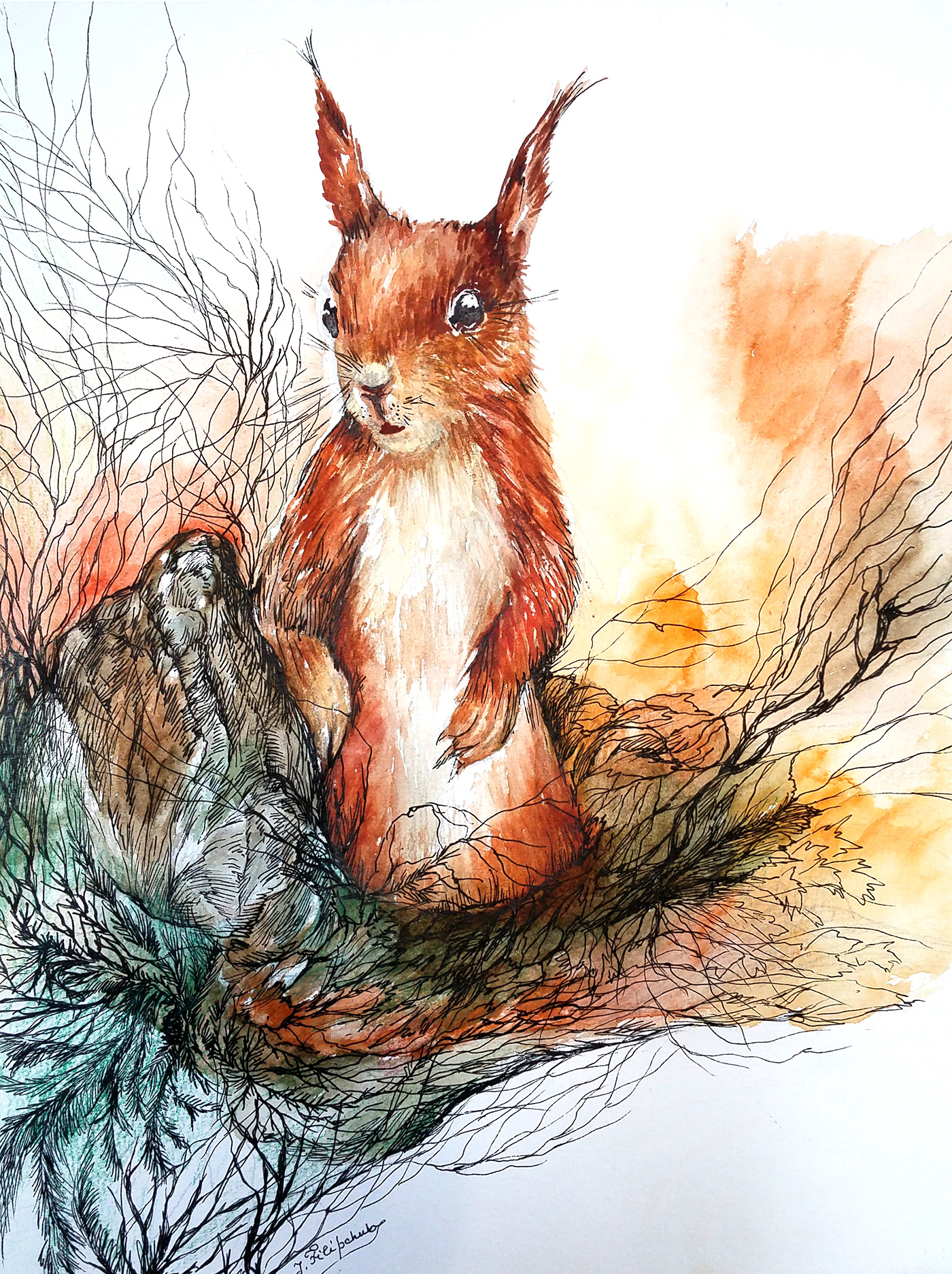 squirrel animal Character ILLUSTRATION  children fairytale