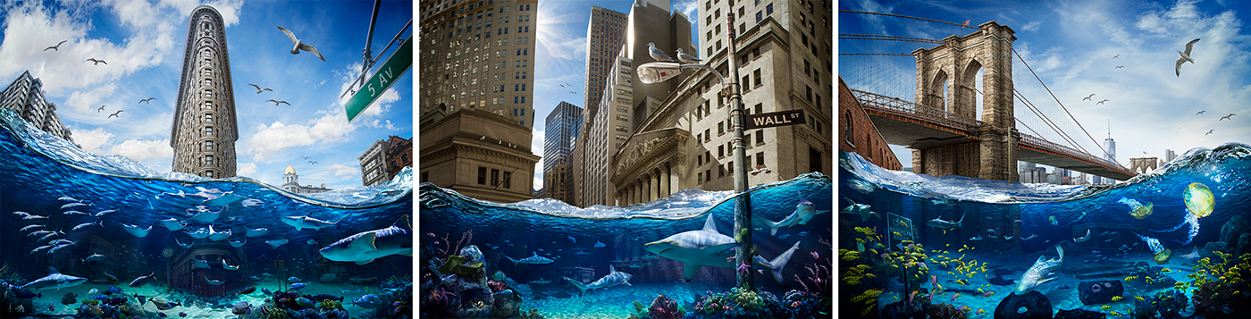 climate change Sea Level Rise global warming Ocean sharks New York nyc Brooklyn Nick Pedersen art design inspire environmentalism