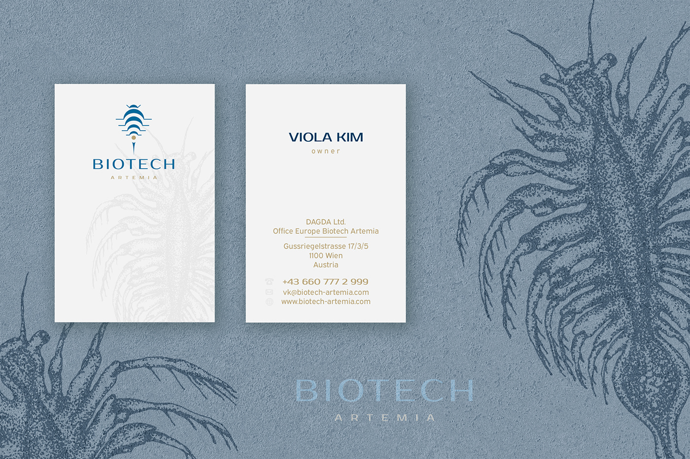 hand drawn brand identity package design  label design Can Design minimal logo insect hand drawing visual identity Logo Design