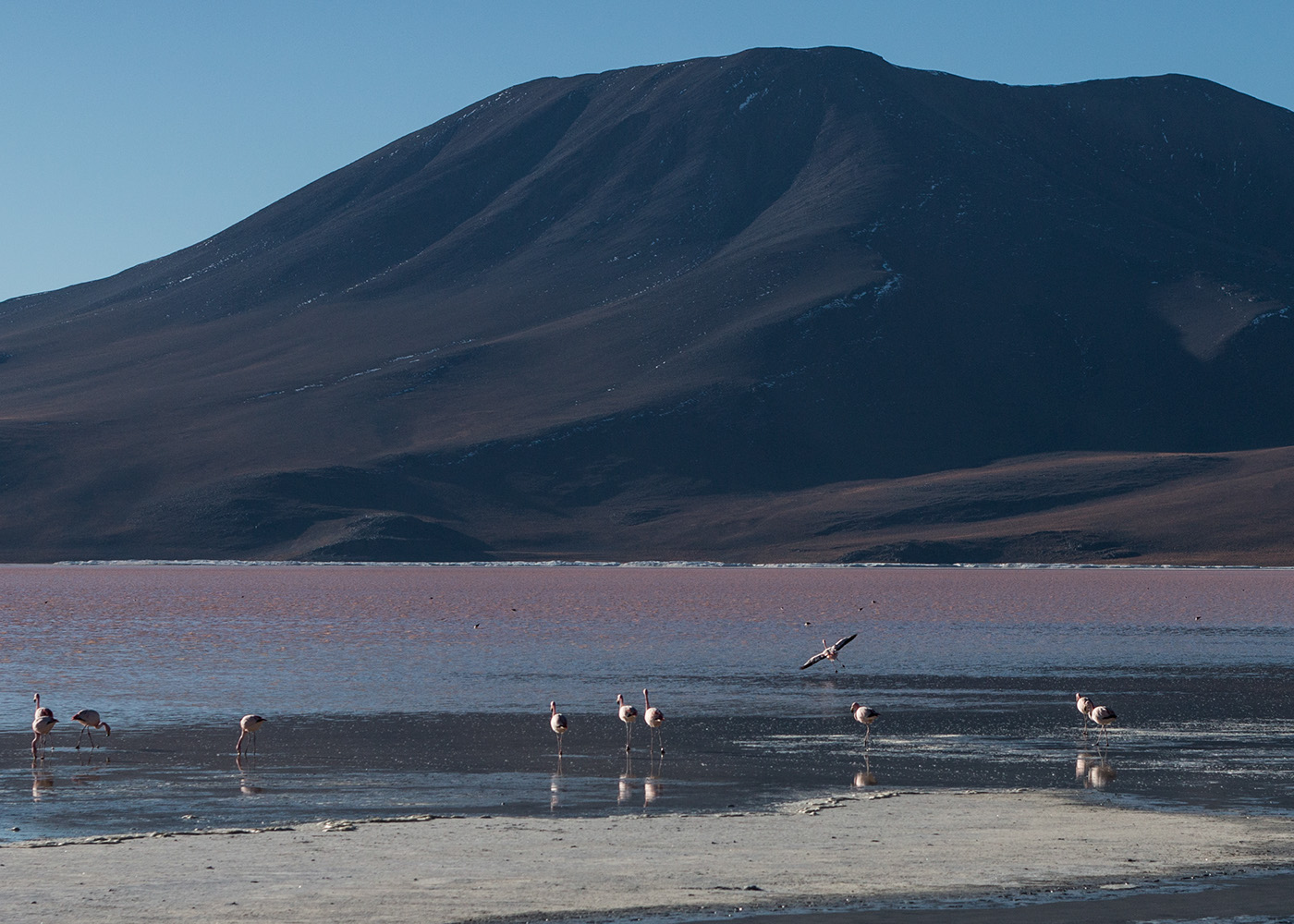 bolivia isla del sol titicaca lake La Paz Uyuni desert Salar de Uyuni Photography  Canon Project Backpacking