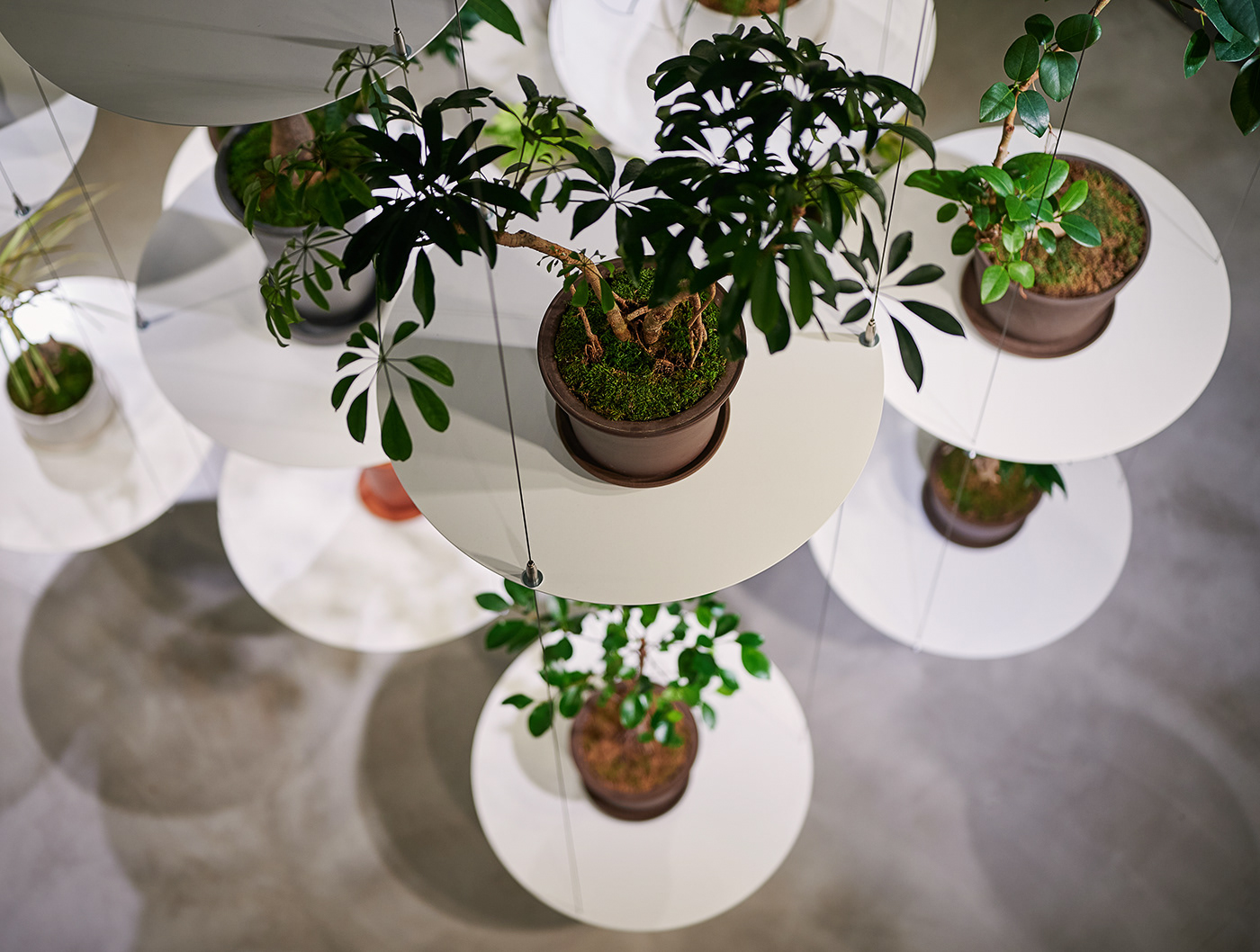 display design Displays Interior nosigner plants Space design furniture japan product product design 