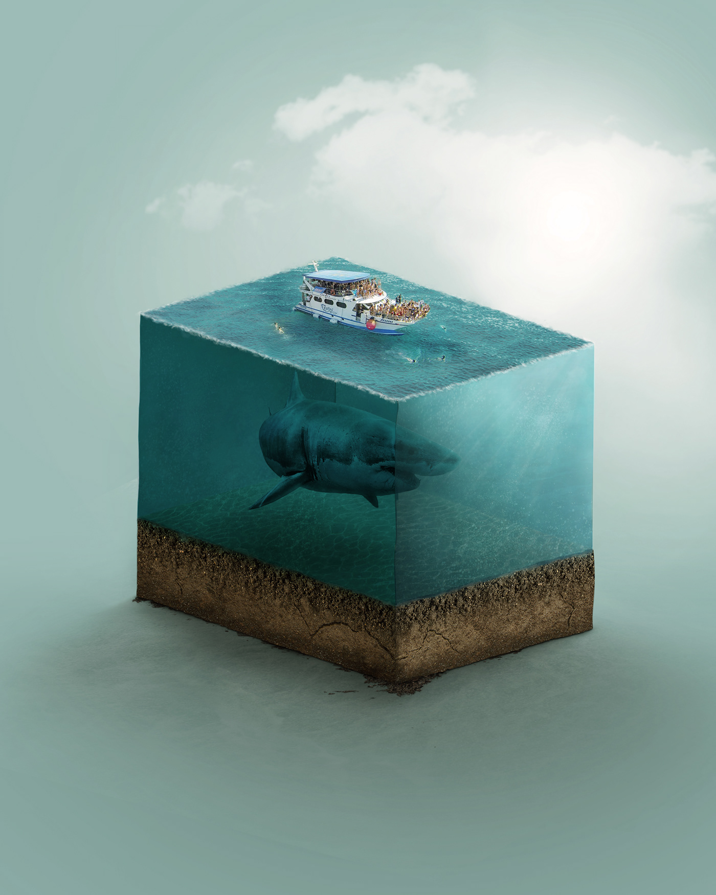 compositing retouch Digital Art  shark water