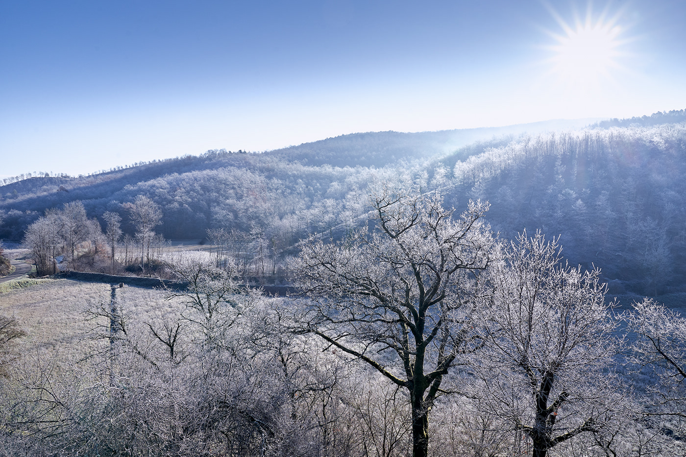 Fotografia freddo Landscape merla Nature paesaggio photographer Photography  Sony