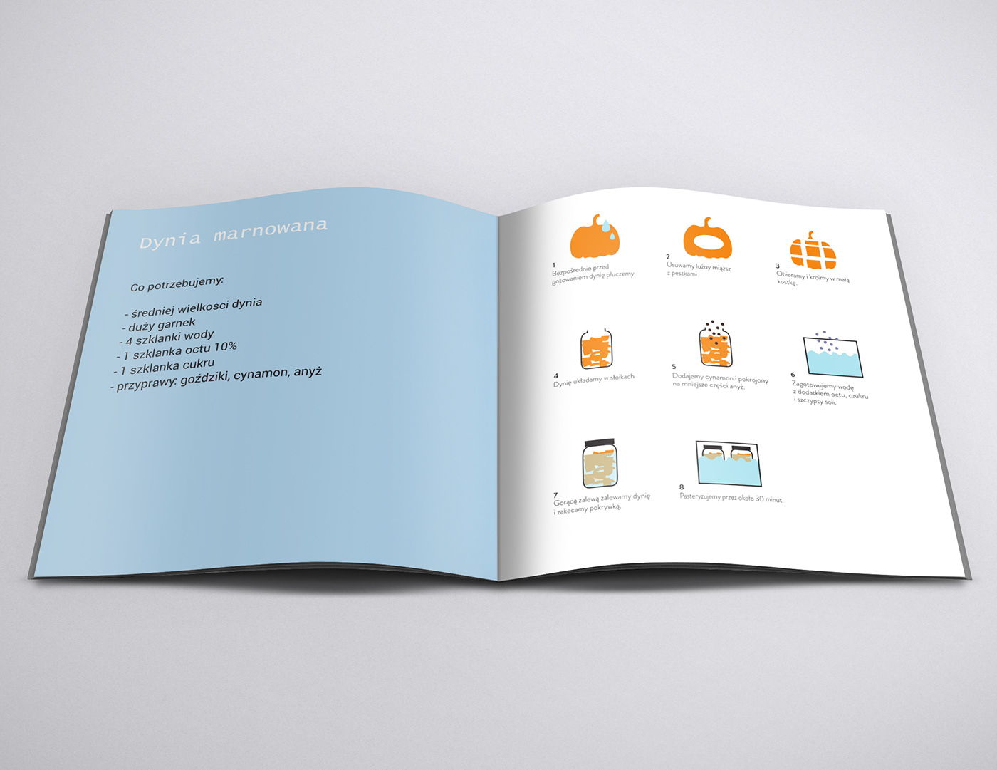 brochure Booklet pumpkin dynia piktogram pictogram recipe user manual instrukcja