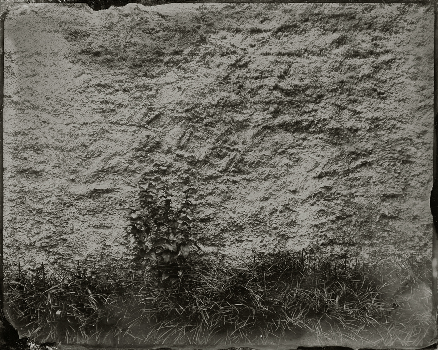 wetplate Photography  wall Landscape Firsttry collodion Black&white art
