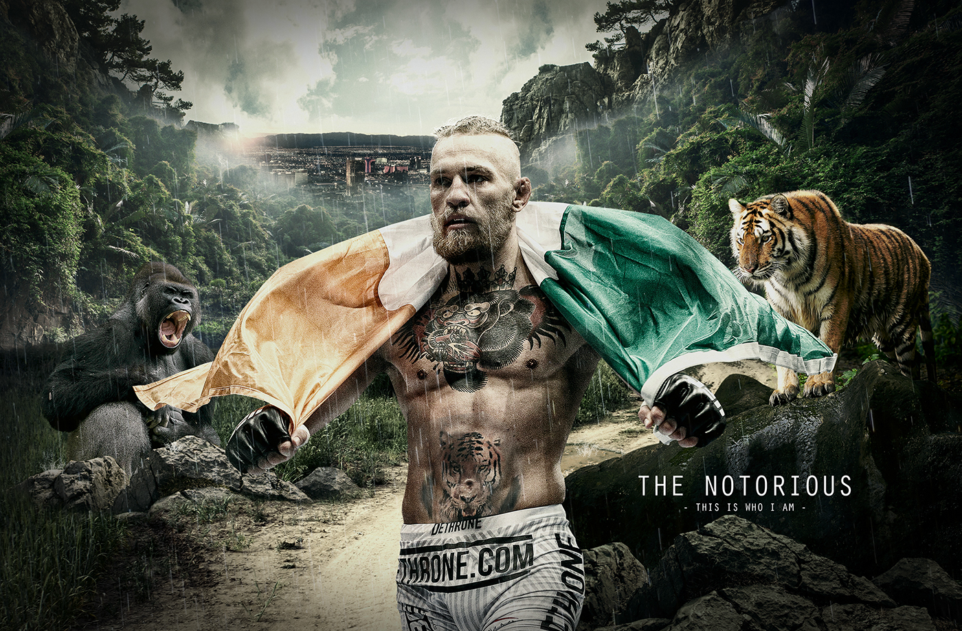 MMA UFC Conor McGregor Mixed martial arts tattoo fighting action Ireland