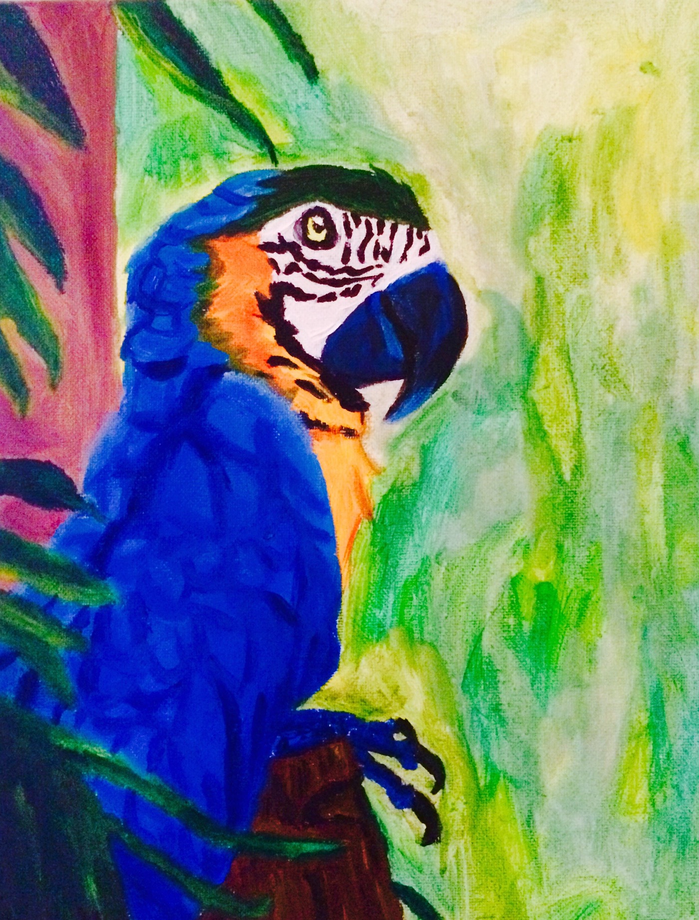 painting   birds parrots