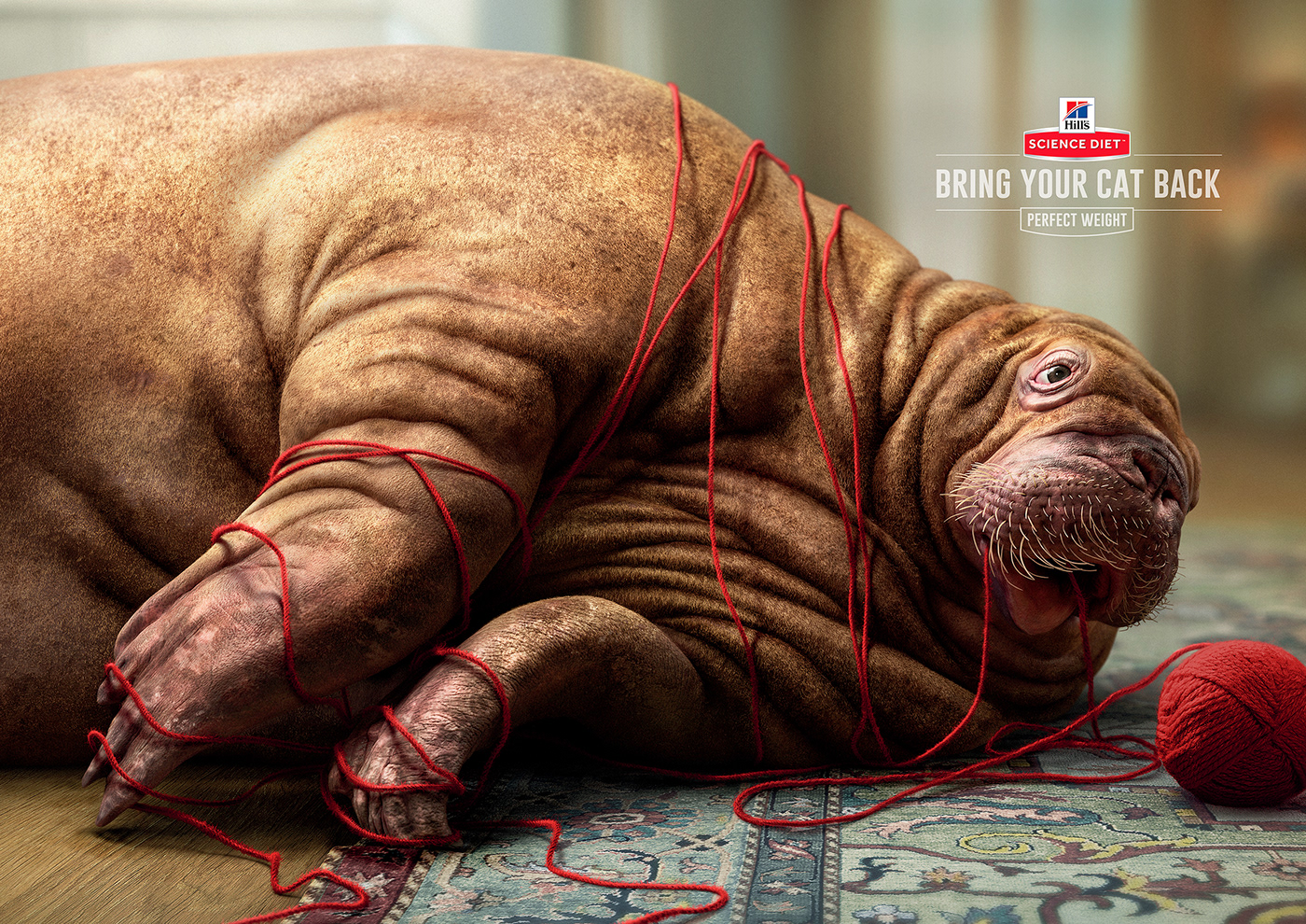 #Advertising #animals #Art Direction #character design #Digital art