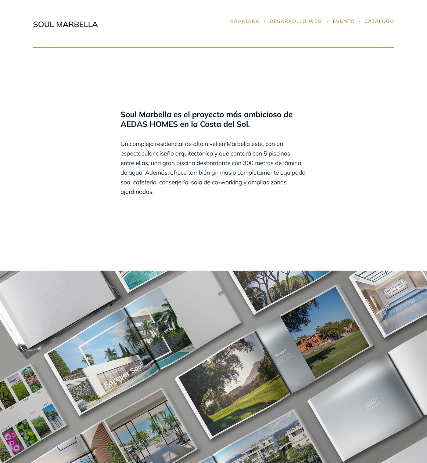 architecture Brand Design branding  brochure brochure design brochuredesign Event graphic design  Identity Design Website