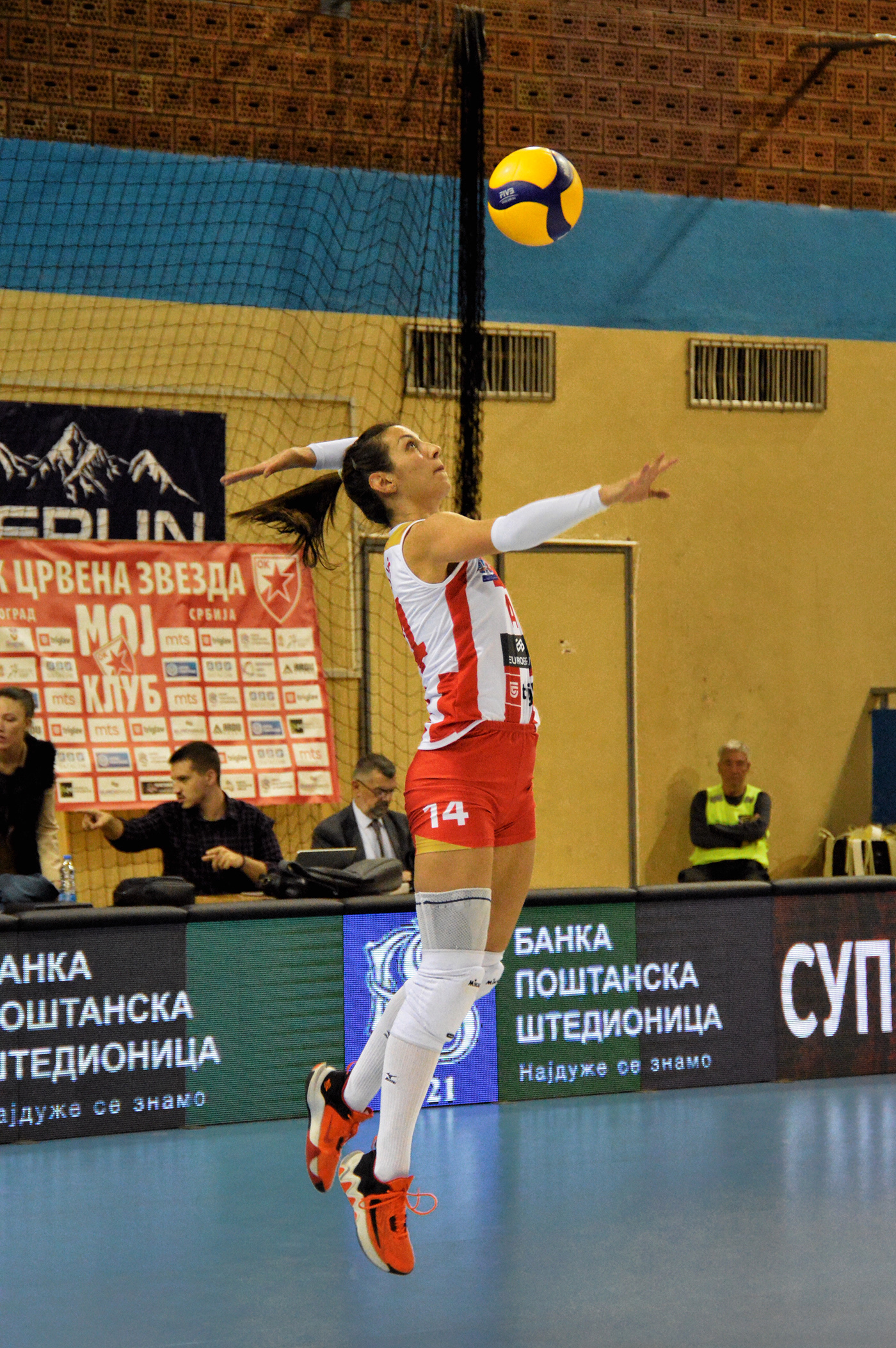 belgrade crvena zvezda Europe lajkovac Photography  redstar Serbia supercup volleyball volleyball team