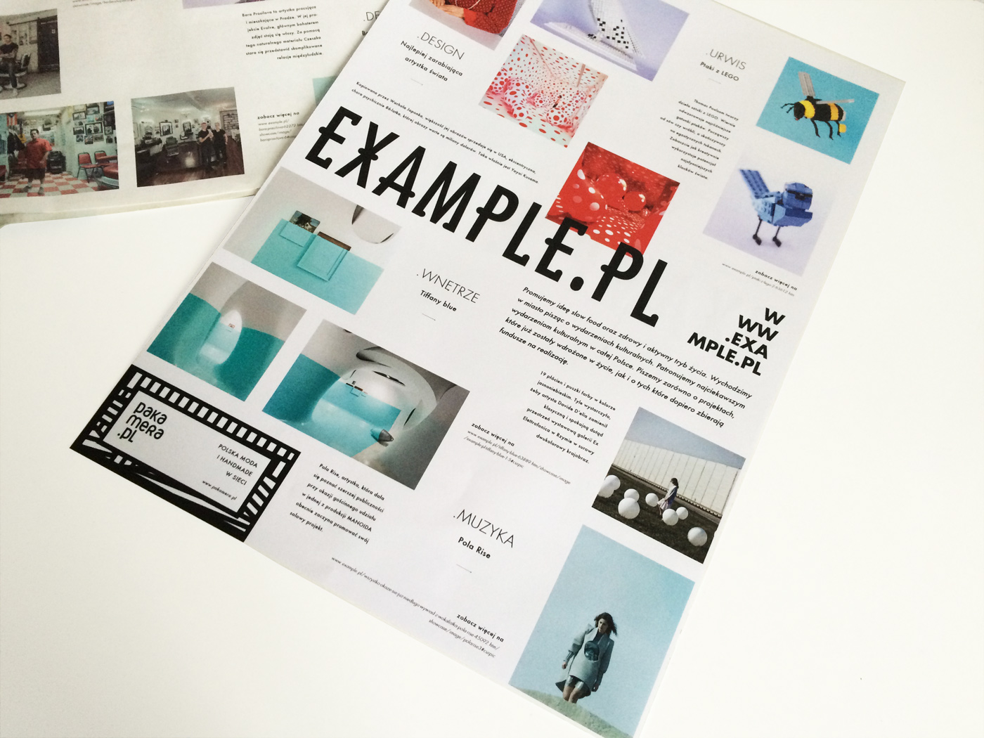 Branding design Logotype typography   magazine Magazine design geometry icon design  icons bold colors Booklet