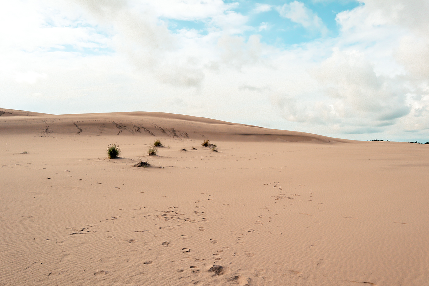 dune dunes Landscape landscape photography Nature Photography  sand