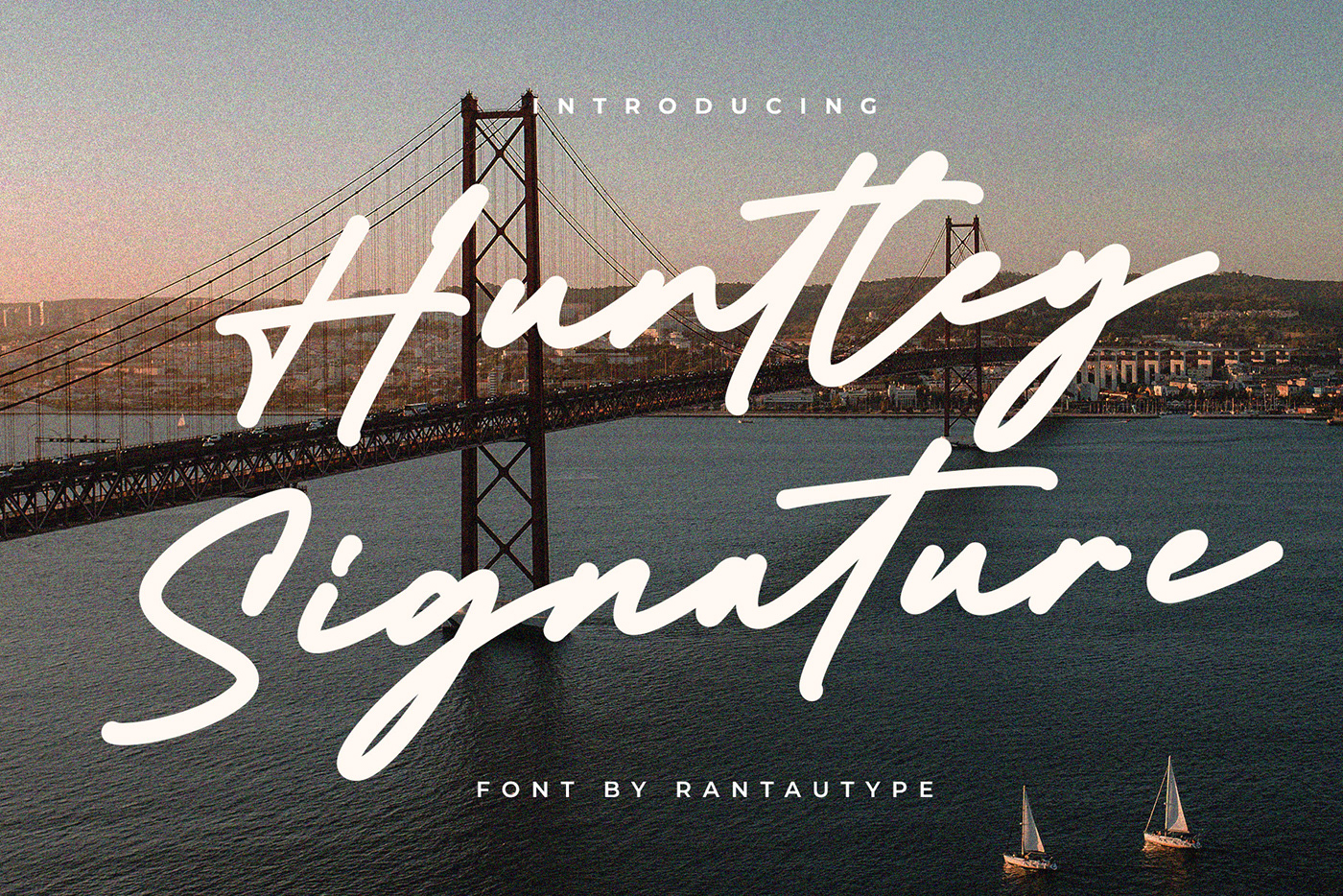 branding  brand Logotype business Packaging Display handwritting stylish elegant signature