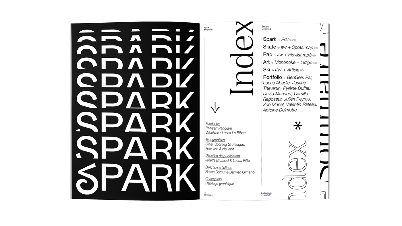 book design design editorial Layout magazine poster skateboard typography   graphic