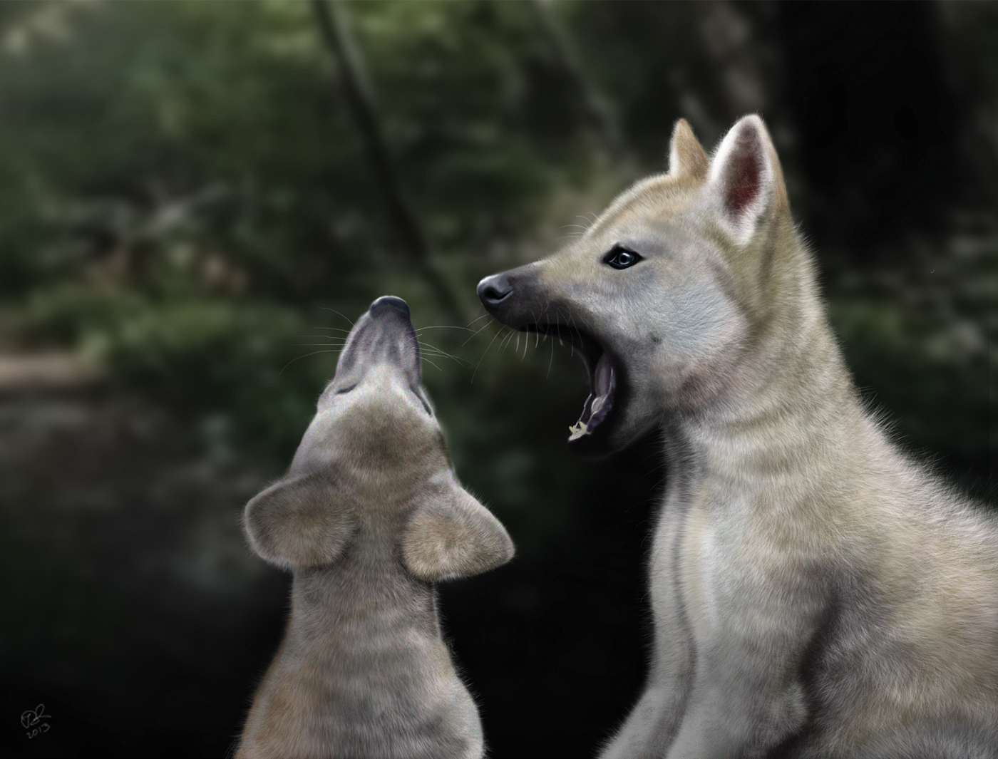 wolves Digital Art  Drawing  digital painting animals