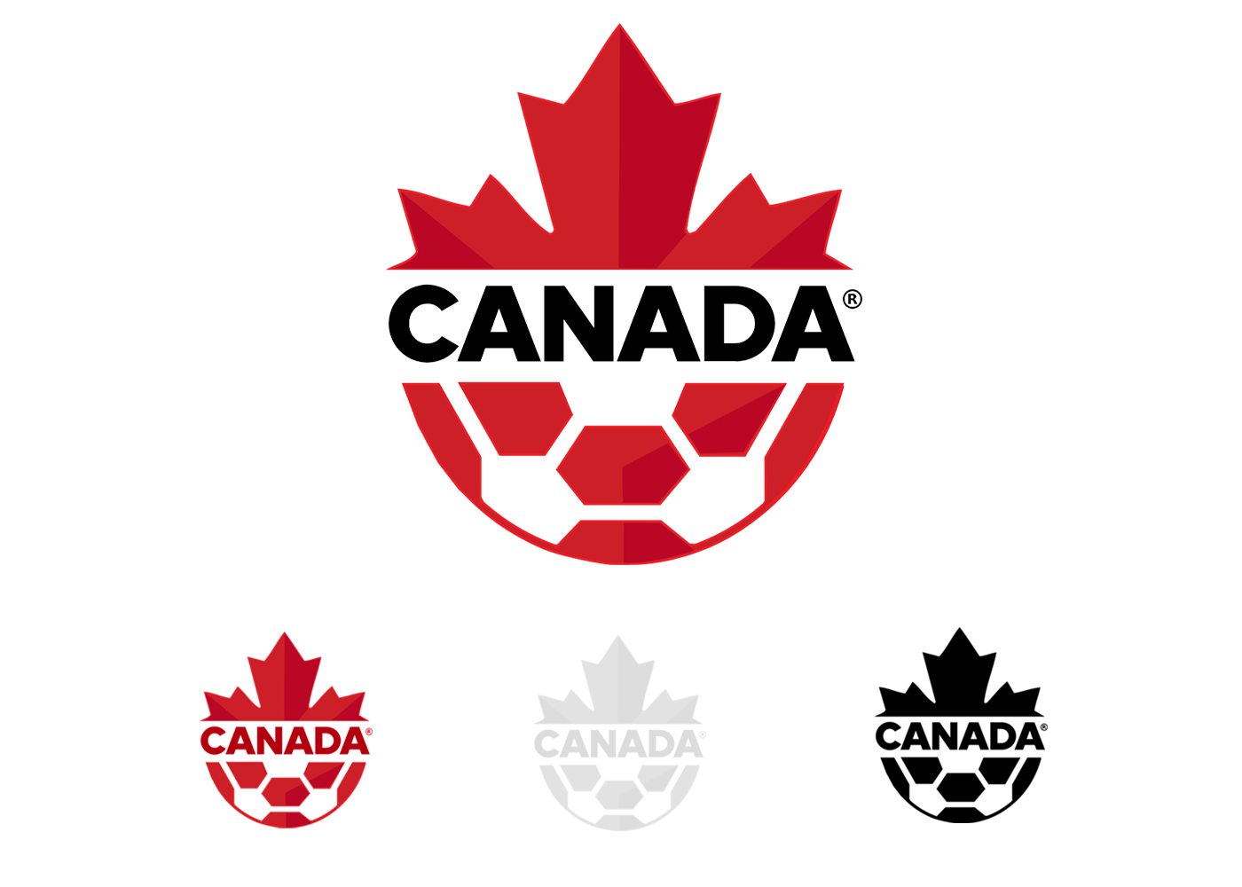branding  logo soccer Canada football mls premierleague adidas Photography 