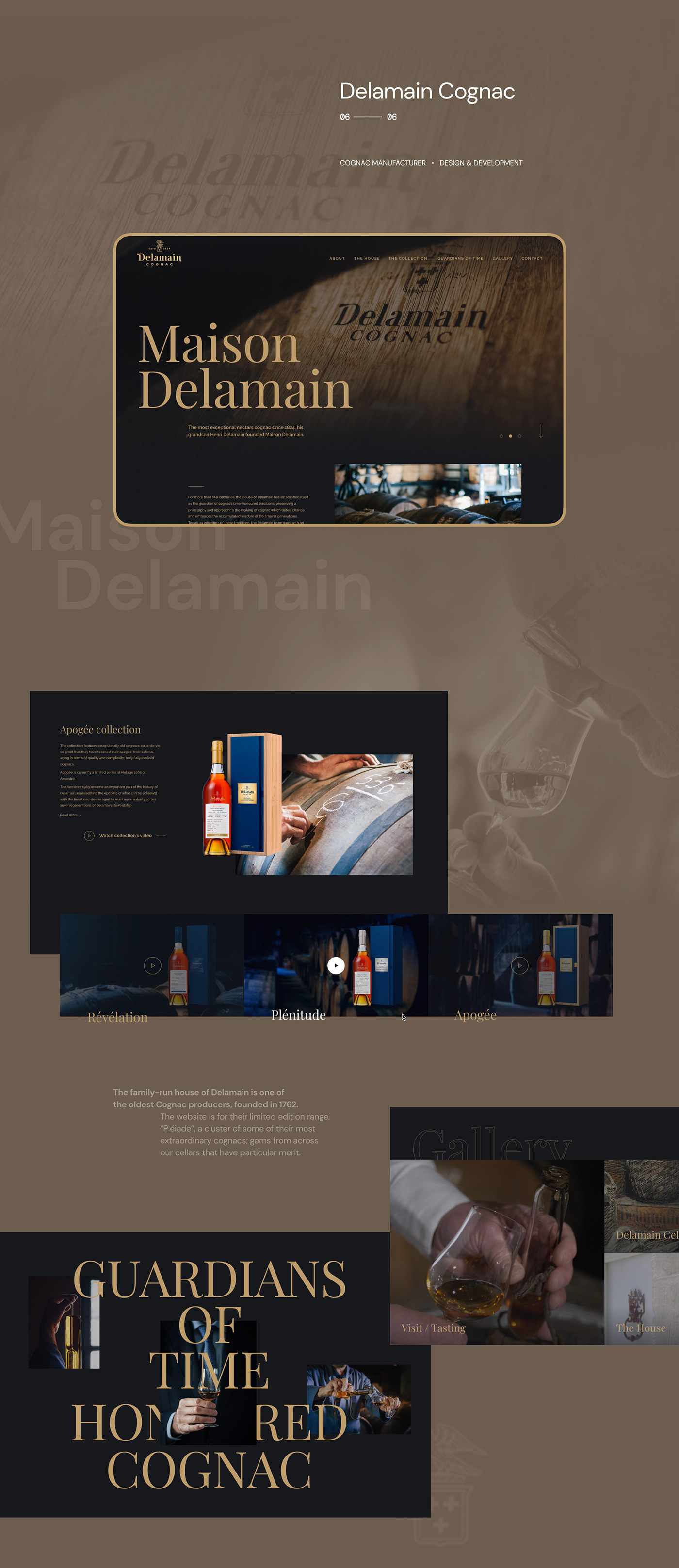 Collection Layout Project UI UI/UX user interface ux Web Web Design  Website