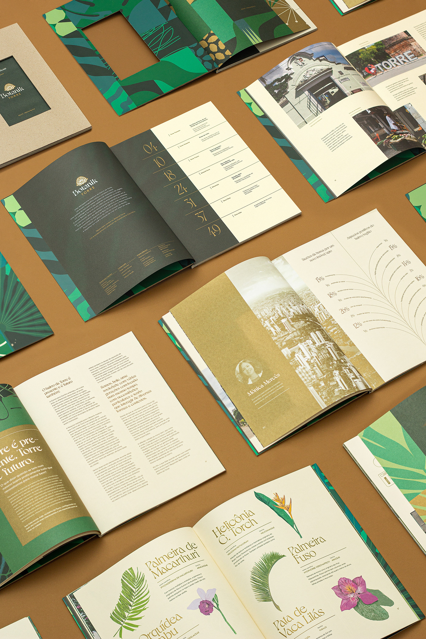 book Brand Design brand identity brochure editorial Logo Design print Signage typography   visual identity
