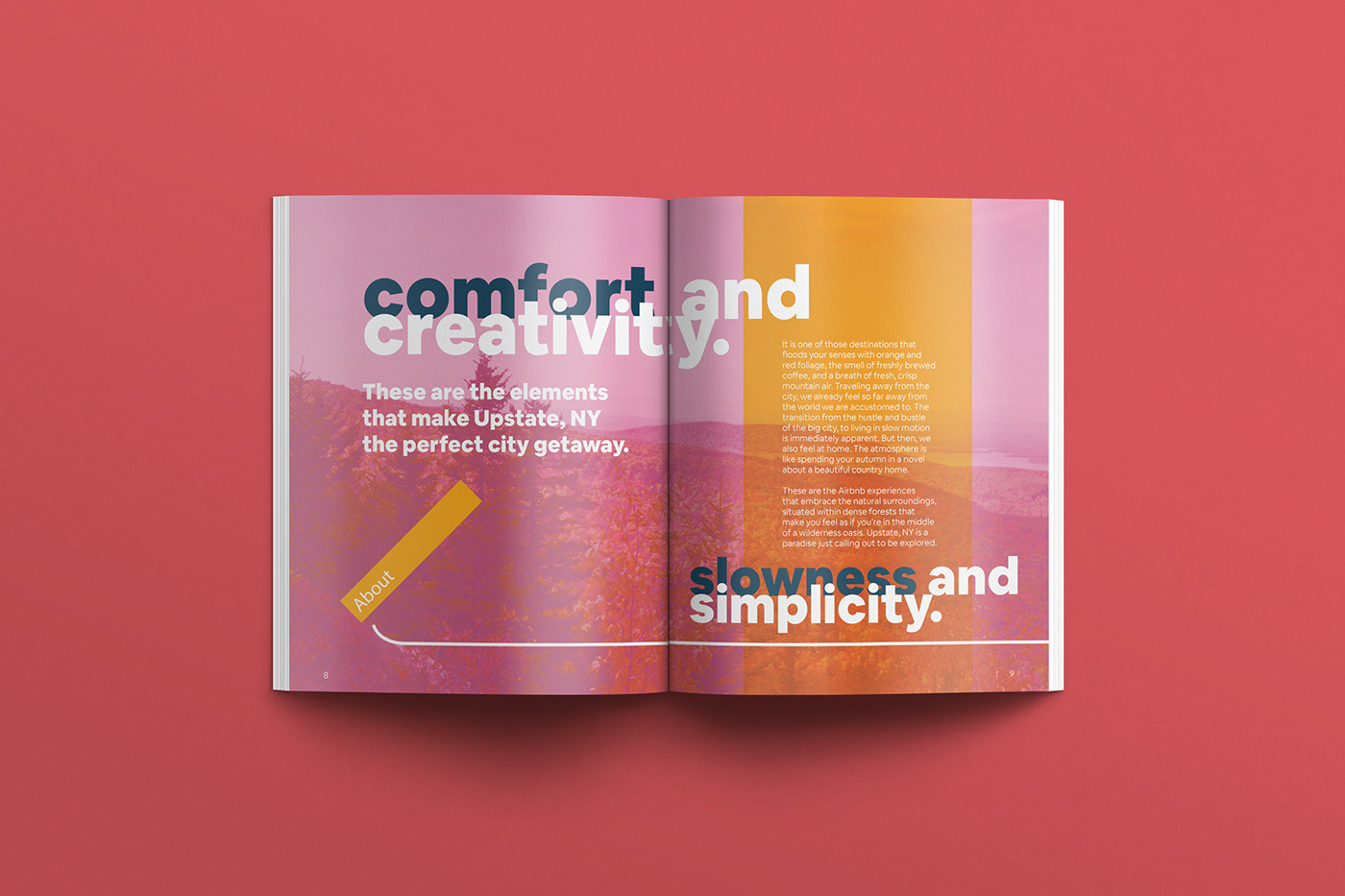 editorial ILLUSTRATION  InDesign publication design typography  