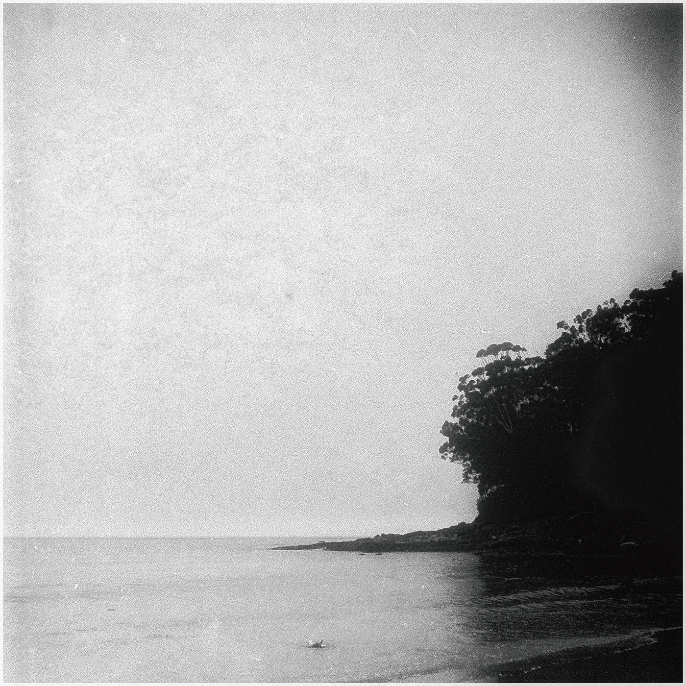 rolleiflex Film   medium format black and white monochrome Coast littoral Photography 