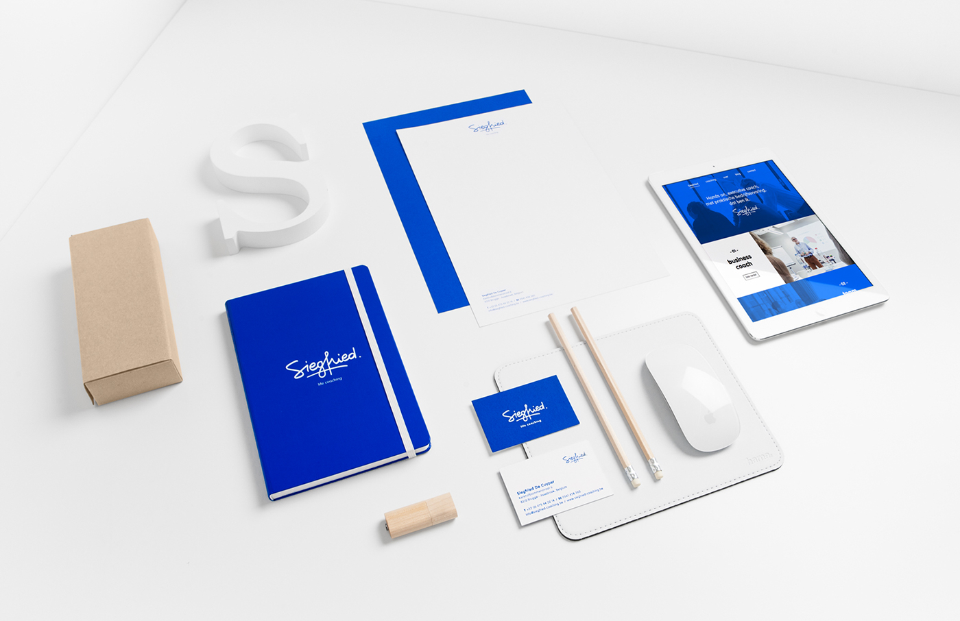 Siegfried blue identity life coaching graphic stationary White pure Webdesign brand identity