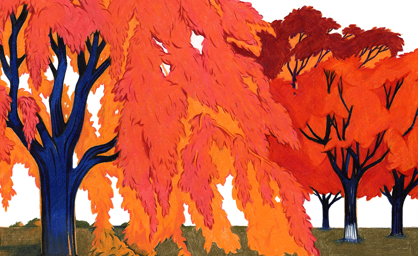 autumn COLORPENCIL DRAWING colorpencil illustration Drawing  handdrawn Illustrator Landscape prismacolor Tree 