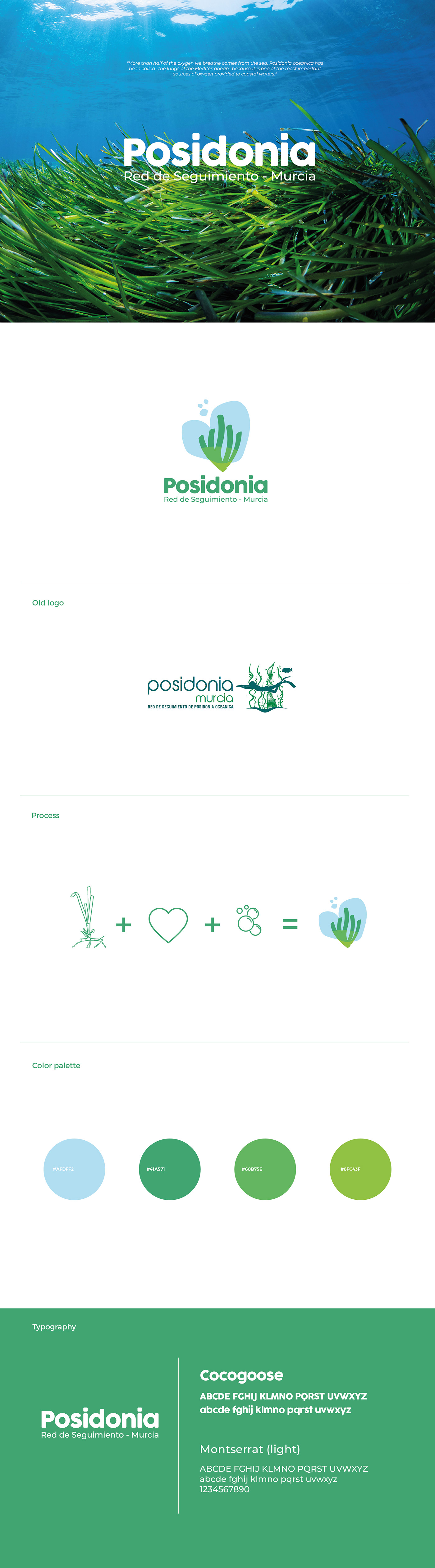 brand identity logo mediterranean Nature Posidonia oceanica sea visual identity biodiversity enviornment green