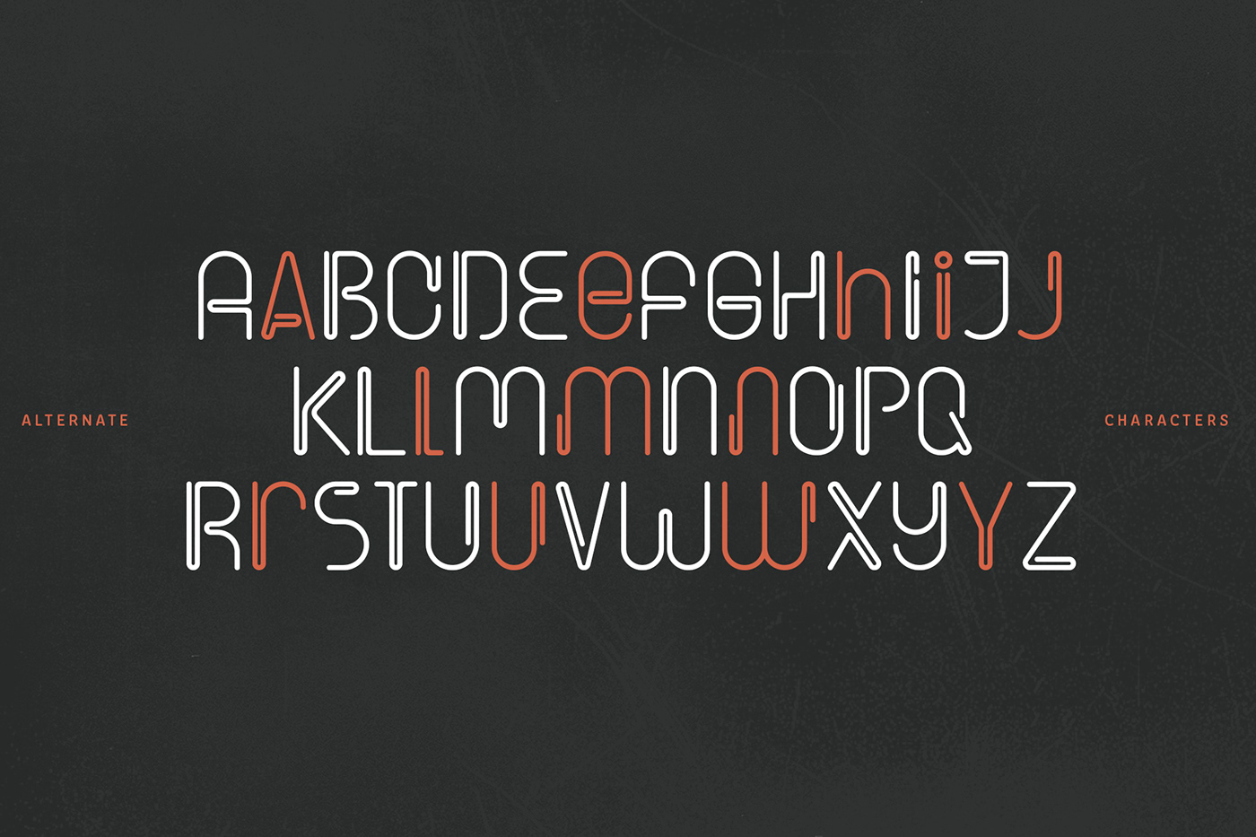 Barfly Display Font rounded linear font design for branding packaging and identity