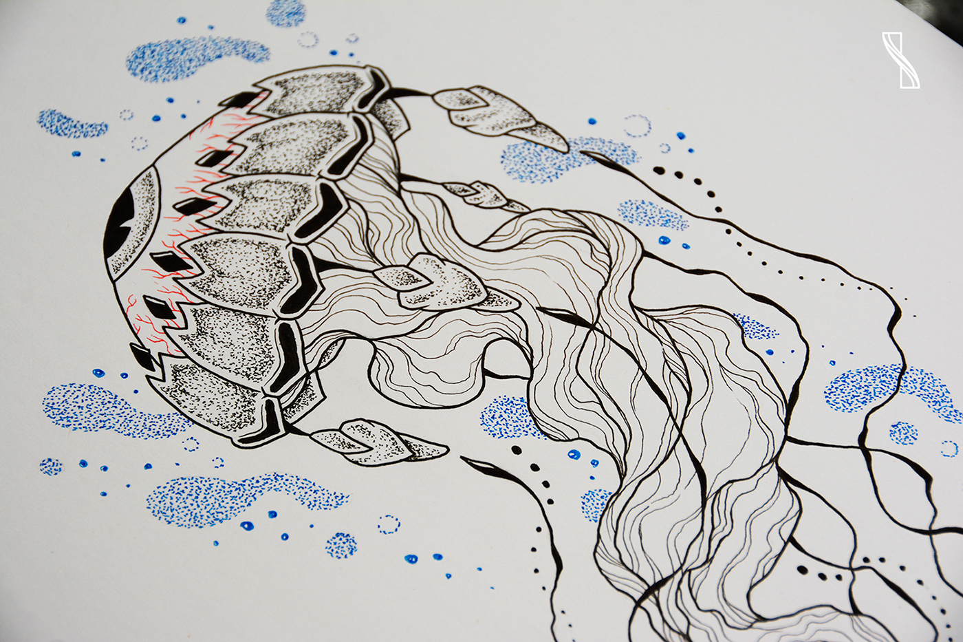 Drawing  ILLUSTRATION  art ink TRADITIONAL ART jellyfish eye Nature