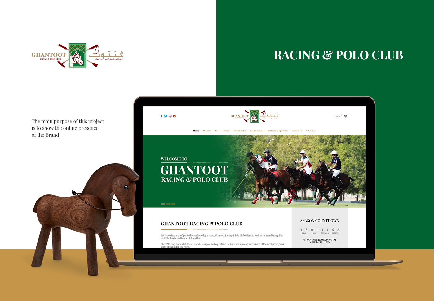 Website Website Design ui design Web Design  modern website UX design polo club website racing polo club polo website horse