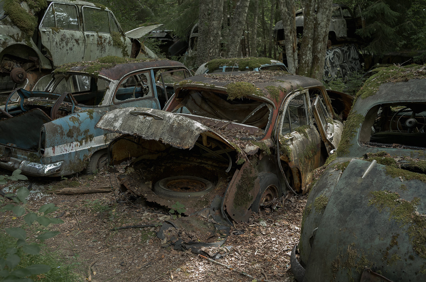 abandoned Photography  Cars Sweden urban exploration vintage cars photo car cemetery depopulation värmland