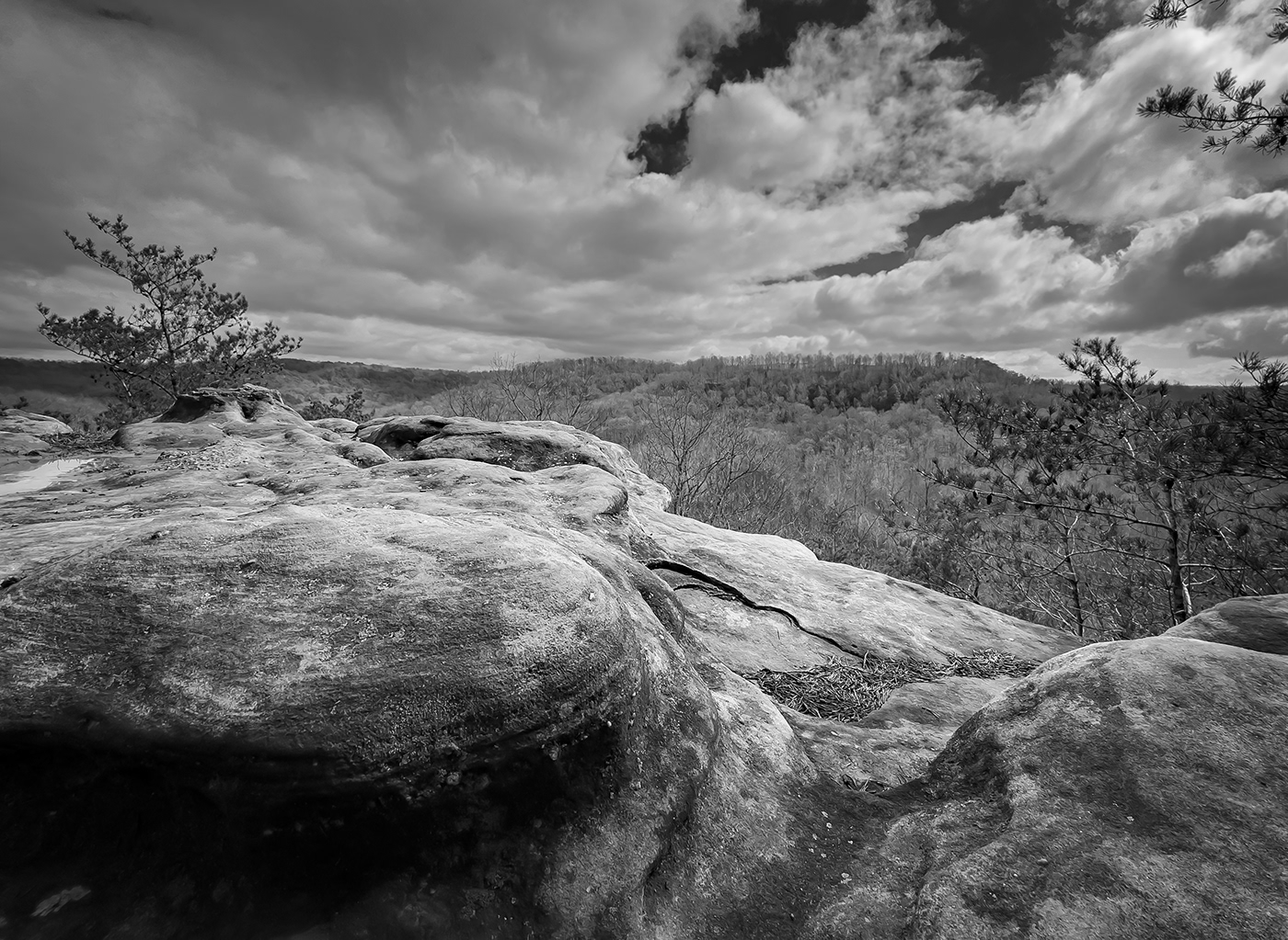 Landscape black and white Photography  ansel adams Nature bridge