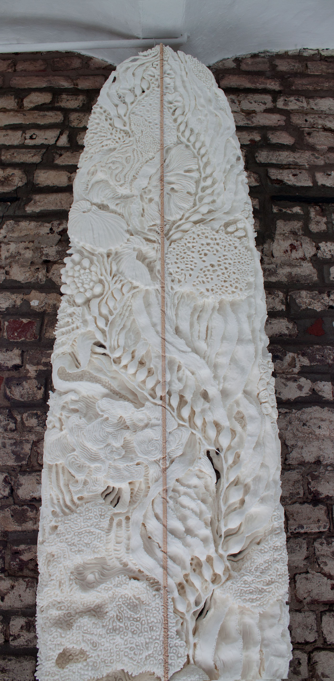 Surf carve Board coral Ocean sea art detail kelp White